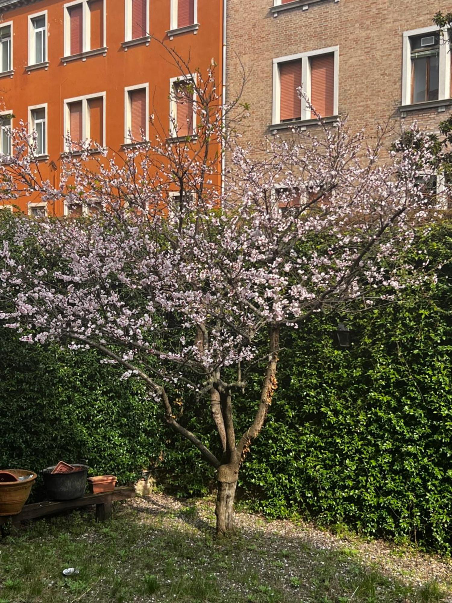 Vibes - Terrace In Venedig